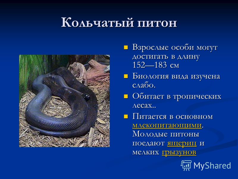 Прикольные поздравления от родителей на день рождения Прикольные поздравления от родителей на день рождения