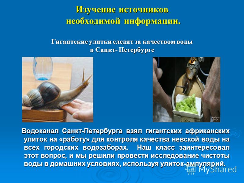Исследование качества воды в домашних условиях Исследование качества воды в домашних условиях