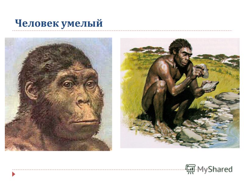 С чем связана наука генетика С чем связана наука генетика