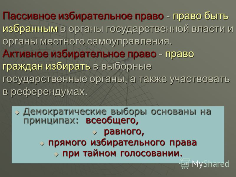 Презентация на тему: "Избирательное право и избирательный процесс. Чуева Алина С