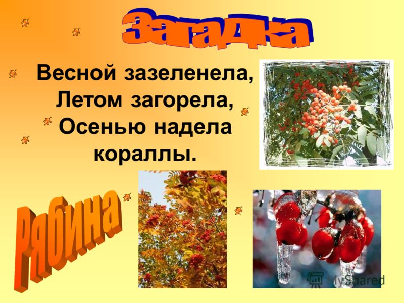 Картинки по обж весной Картинки по обж весной