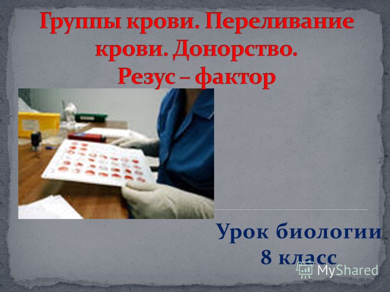 Внутренняя среда организмов презентация