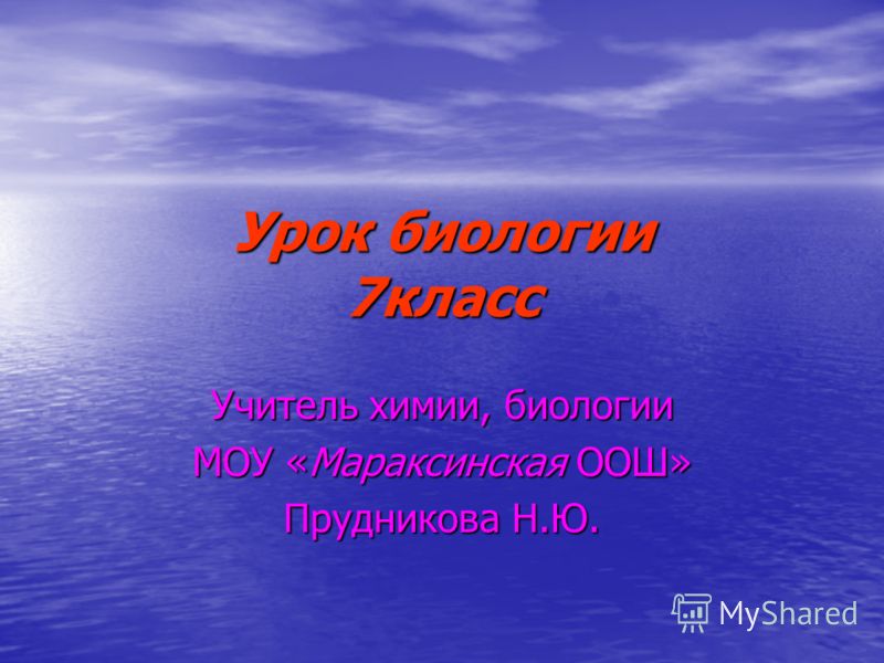 ПОДЕЛКИ СВОИМИ РУКАМИ Новости производителя наборов для рукоделия