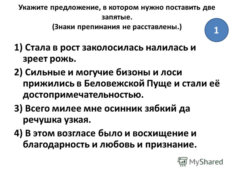 Признание в любовь на испанском Признание в любовь на испанском