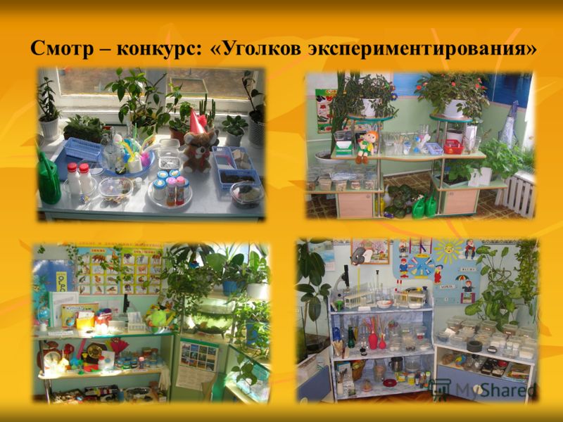 Экспериментирование В Подготовительной Группе