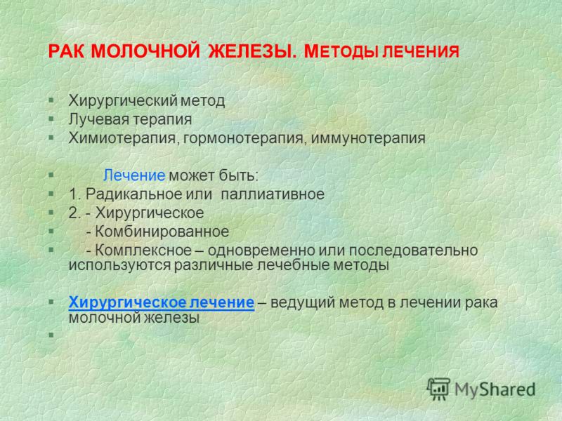 Лук: посев и уход за посевами на огороде. Основные правила Кофры для мотоциклов, мотокофры купить Интернет магазин