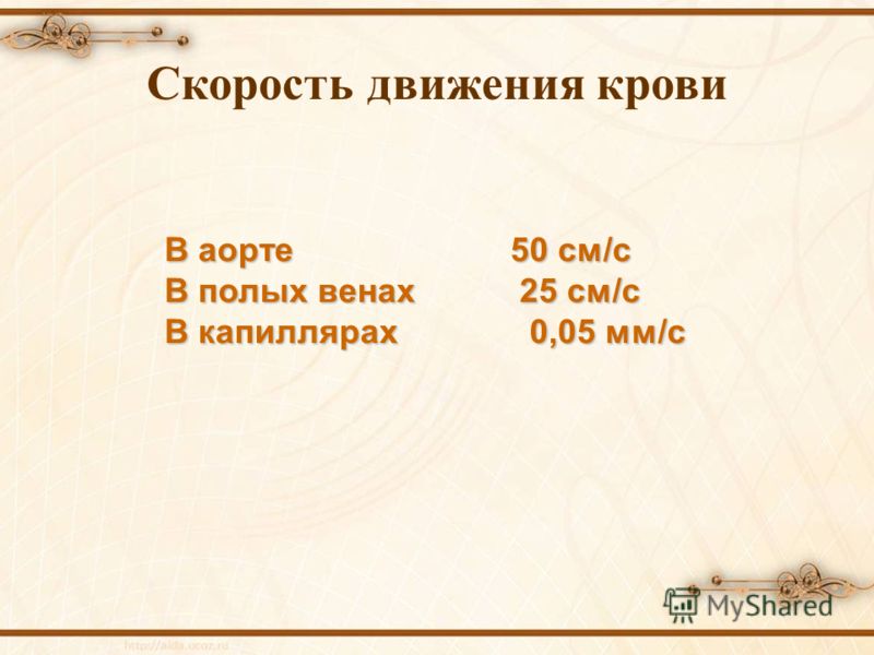 Музейный квартал в вене