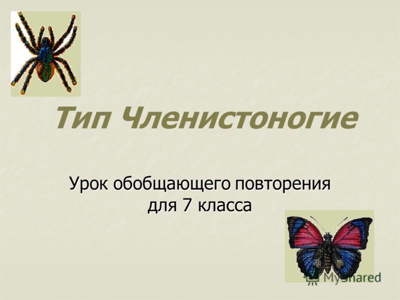 Реферат: Биоценотический аспект индивидуального научения у хищных членистоногих Реферат: Биоценотический аспект индивидуального научения у хищных членистоногих
