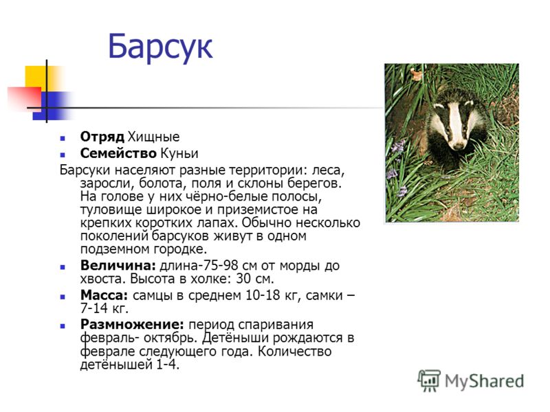 Презентация красная книга ленинградской области Презентация красная книга ленинградской области