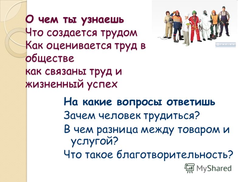 Как вырастить яблоню из семечка. Подготовка, посадка и уход с Интернет магазин одежды