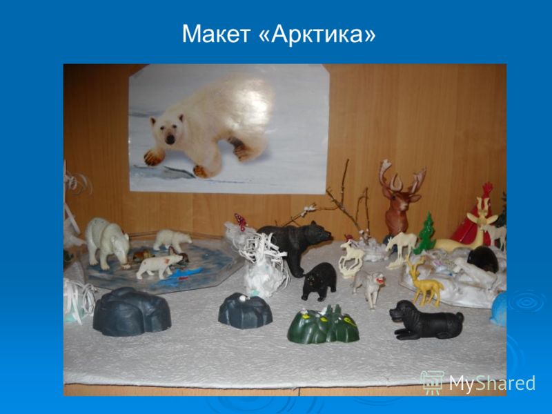 Уход за растениями организация Уход за растениями организация
