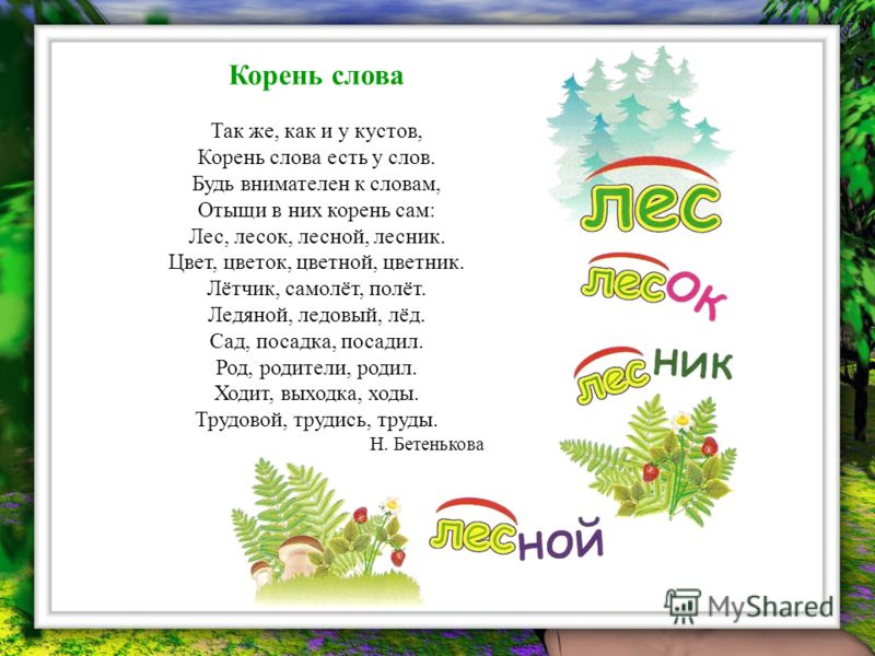 Чем лечить пролежни у пожилых людей в домашних условиях Чем лечить пролежни у пожилых людей в домашних условиях