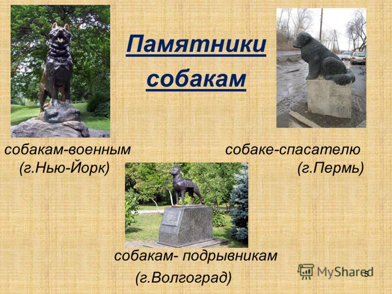 Пожарные Собаки Толстой Сочинение 2 Класс Пожарные Собаки Толстой Сочинение 2 Класс