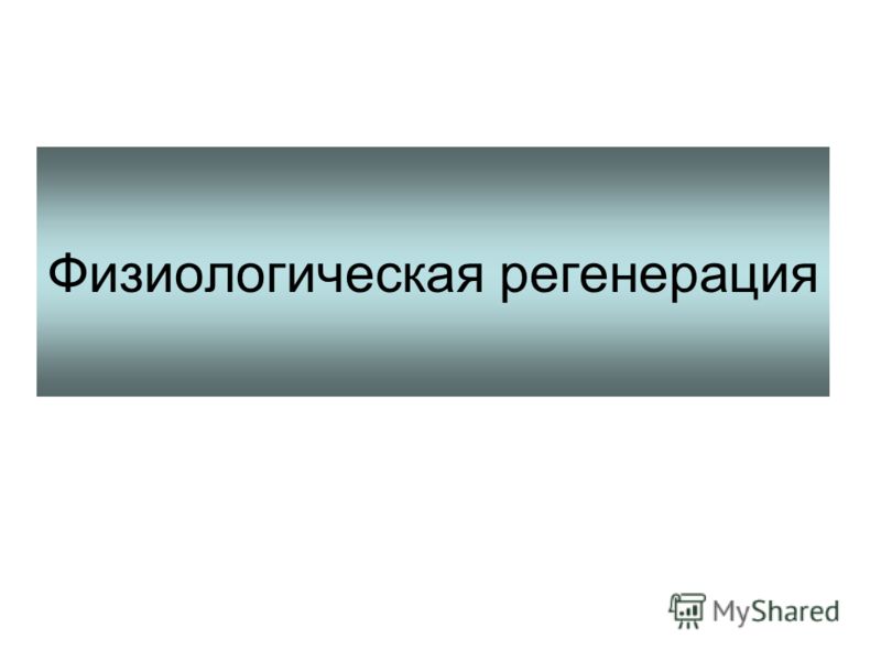 Характерные черты процесса регенерации презентация