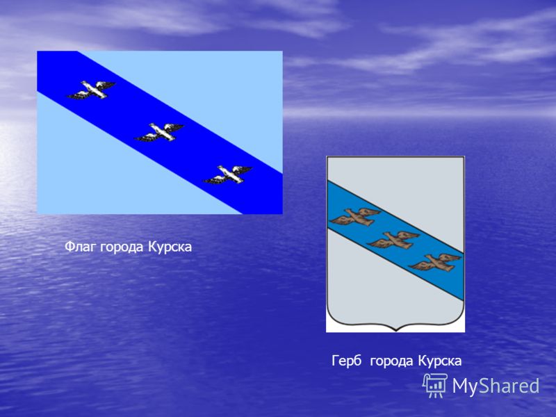 Как выглядит флаг курска