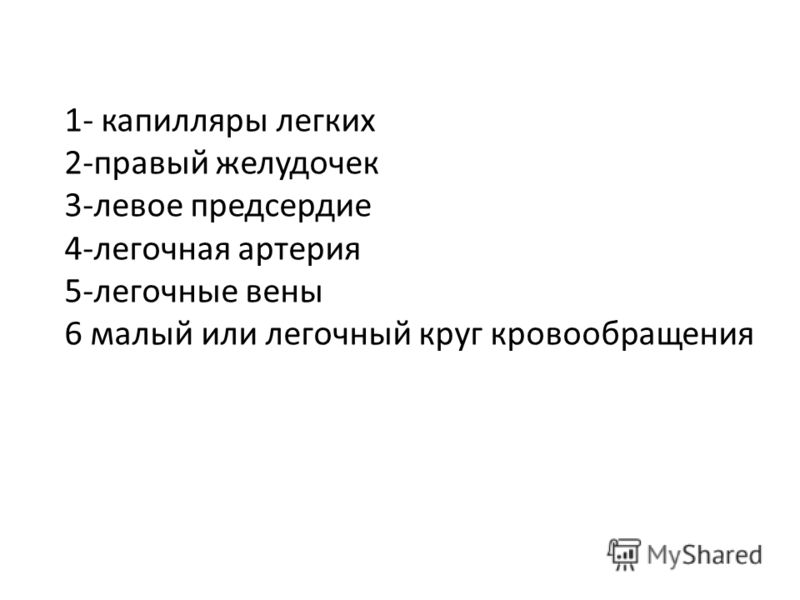 Как действует детралекс на вены