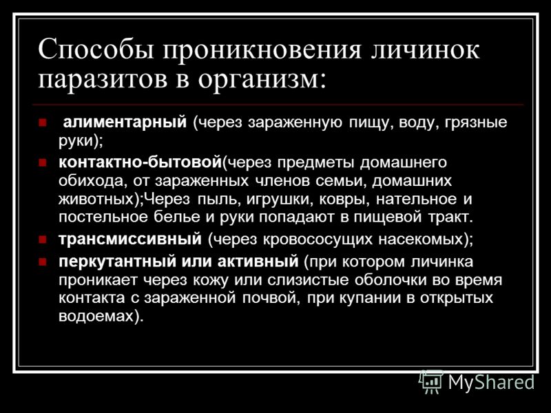 Дипломная работа по теме Черви-паразиты Дипломная работа по теме Черви-паразиты