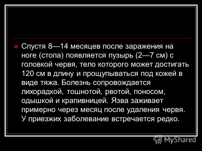паразиты в головном мозге лечение паразиты в головном мозге лечение