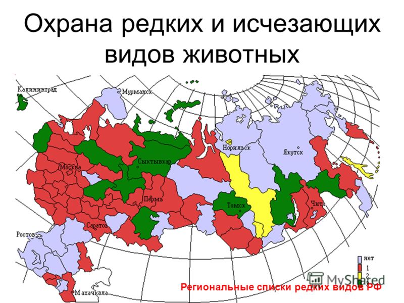 Курсовая работа по теме Правовой режим охраны редких и исчезающих видов растений и животных