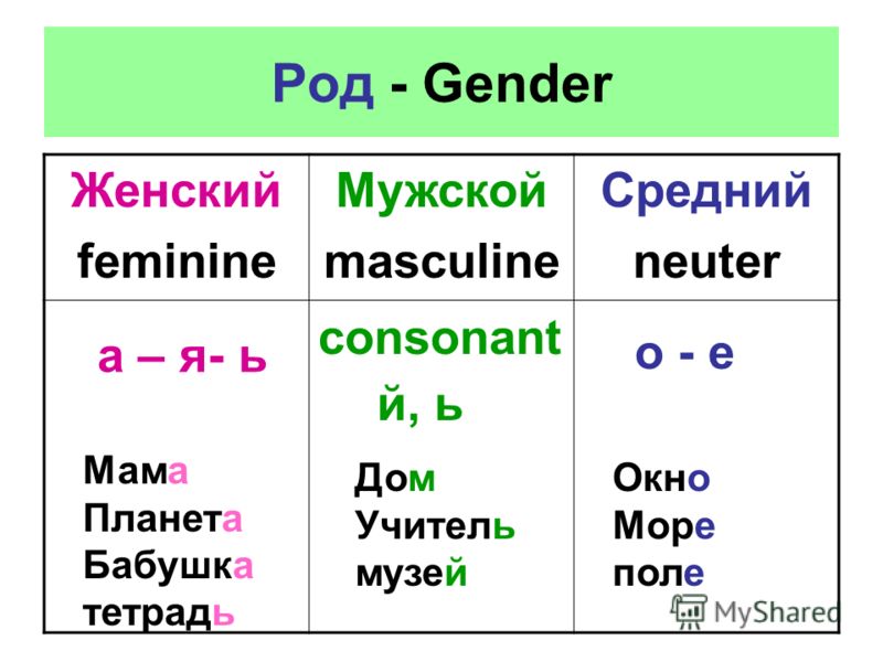 Число средний род пример Море какой род Text-Books.ru
