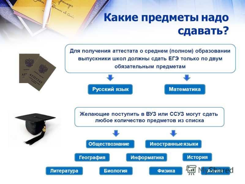 Юрист какие предметы нужно сдавать был