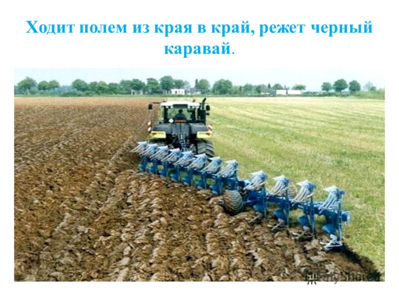 откуда хлеб пришел картинки онлайн откуда хлеб пришел картинки