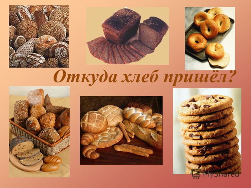 откуда пришел хлеб картинки для детей откуда пришел хлеб картинки для детей