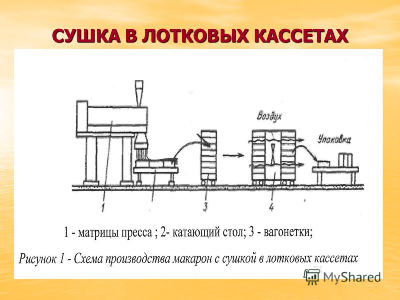 Технологическая схема производства макаронных изделий