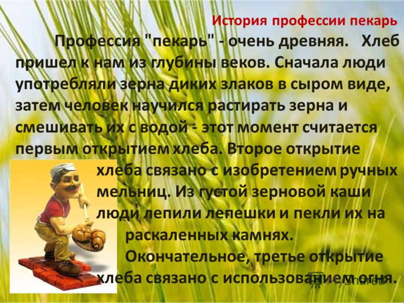 Реферат Пекарь Почему Я Решила Стать Пекарем Реферат Пекарь Почему Я Решила Стать Пекарем