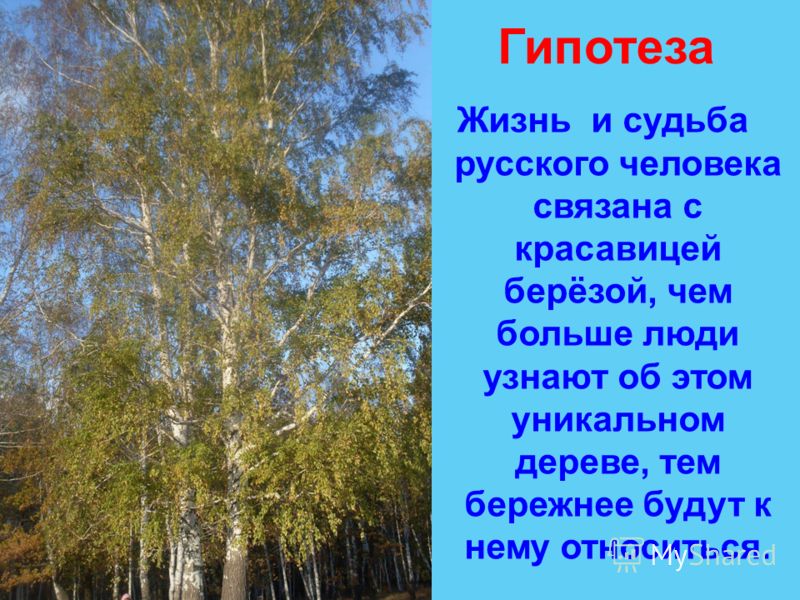 Песня во поле береза стояла распечатать
