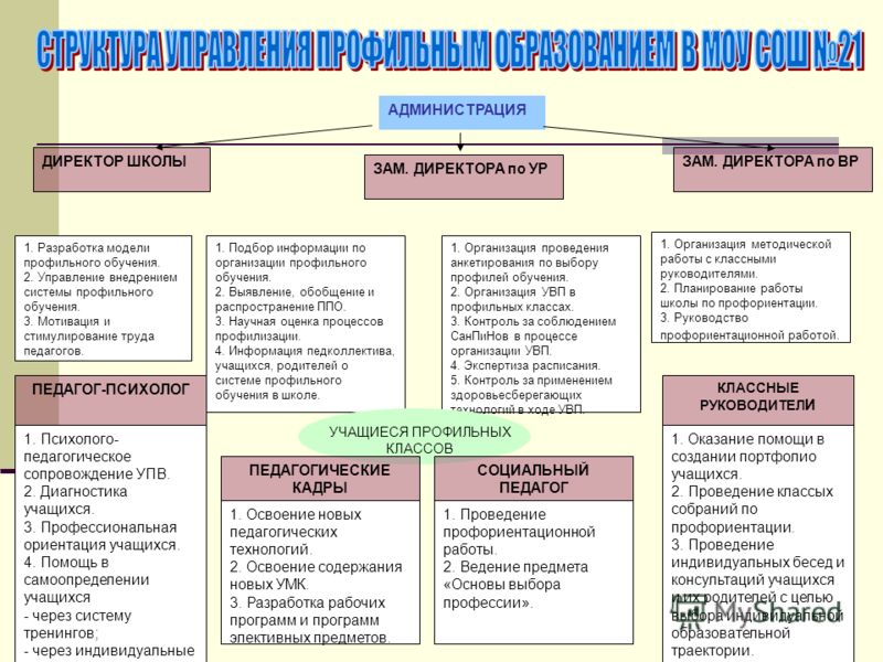 План работы по профильному обучению в школе
