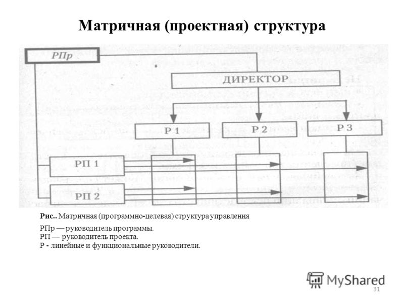 Программно целевая структура управления управление проектом