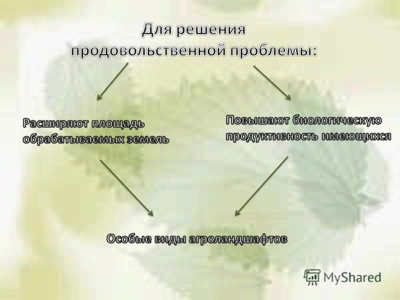 Географическое расположение продовольственной проблемы Продовольственная проблема пути решения презентация