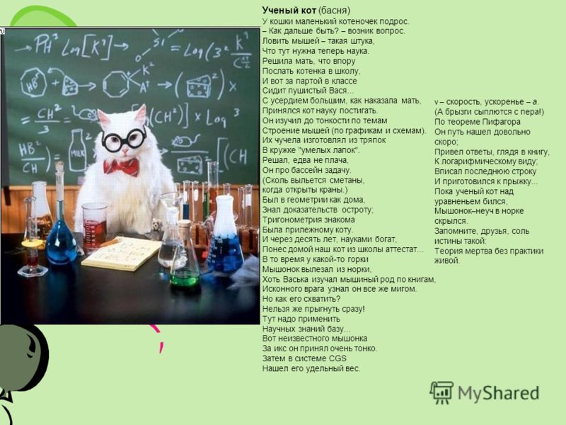 Стих ученому коту Стих ученому коту