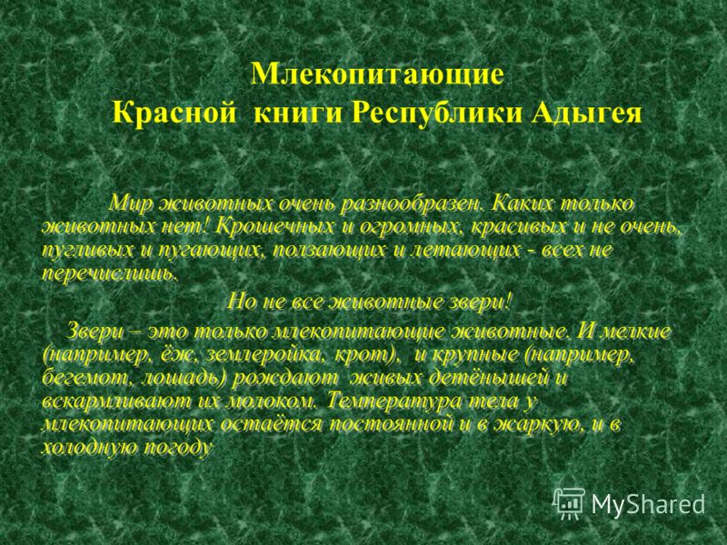 Красная книга адыгеи проект