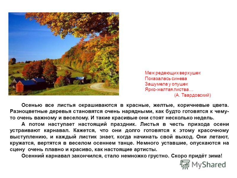 Сочинение Миниатюра Золотая Осень 7 Класс Сочинение Миниатюра Золотая Осень 7 Класс