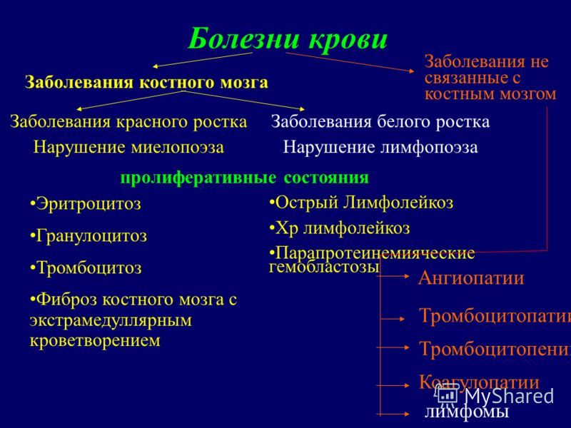 Заболевания связанные с костным мозгом Заболевания связанные с костным мозгом
