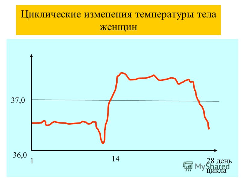 Температура в теле это признак беременности
