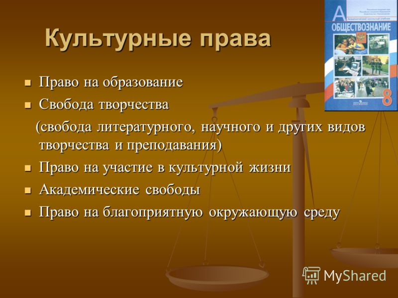 Презентация 9 класс социальные права человека 9 класс