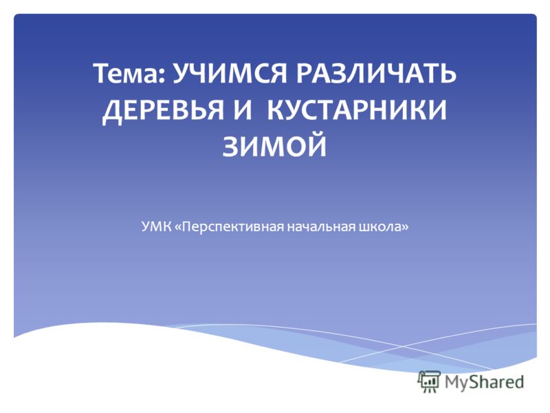 Картинки для презентации деревья зимой Картинки для презентации деревья зимой