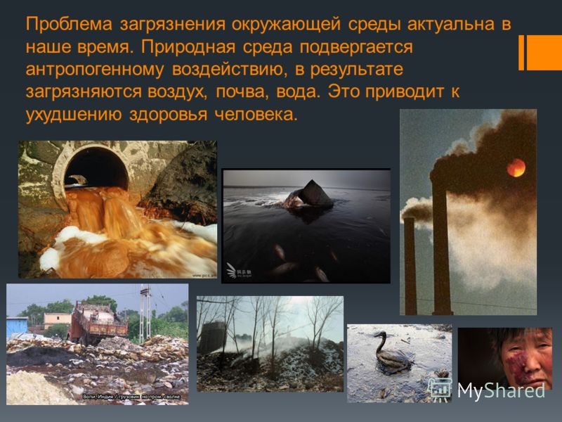 Защищенная кожа от окружающей среды Защищенная кожа от окружающей среды