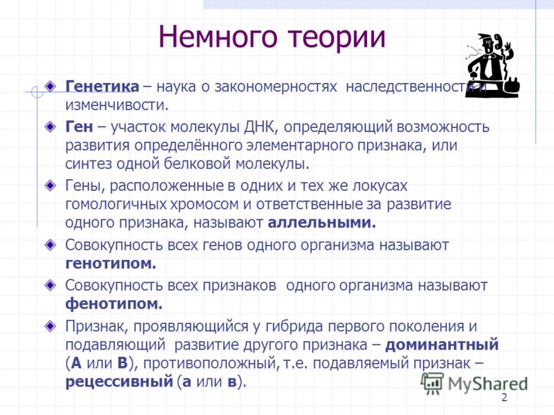 Какие науки связаны с генетикой Какие науки связаны с генетикой