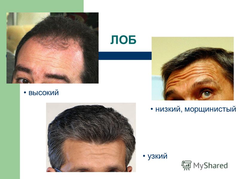 Брюнетка с высоким лбом обработала языком хуй и окрестности 