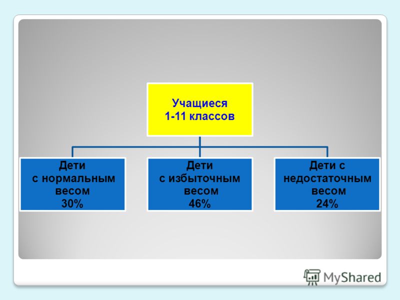 скачать меню правильное питание для похудения скачать меню правильное питание для похудения
