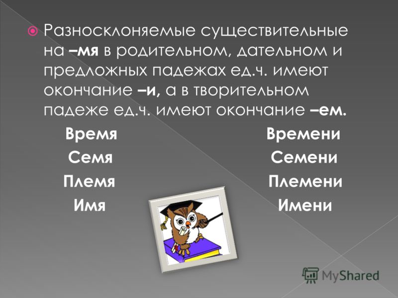 Разносклоняемые имена существительные 5 класс презентация
