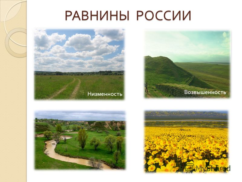 Учебник раковская география природа россии 8 класс