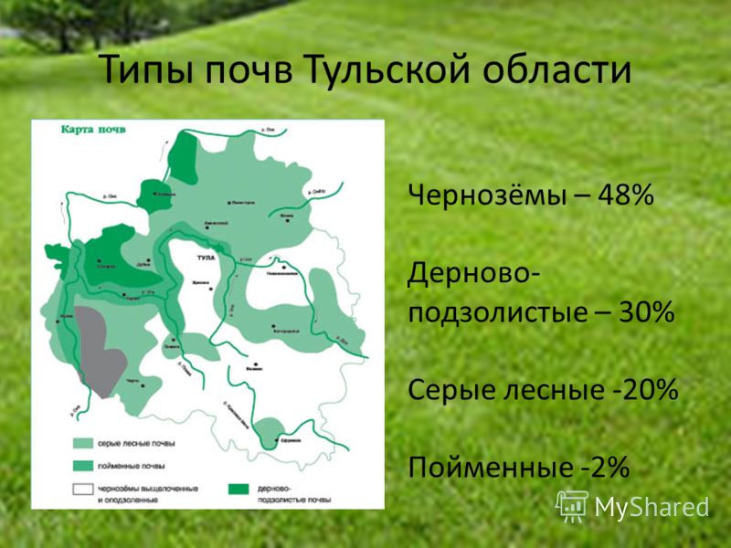 Экологические проекты тульской области Экологическая карта тульской области фото и видео - avRussia.ru
