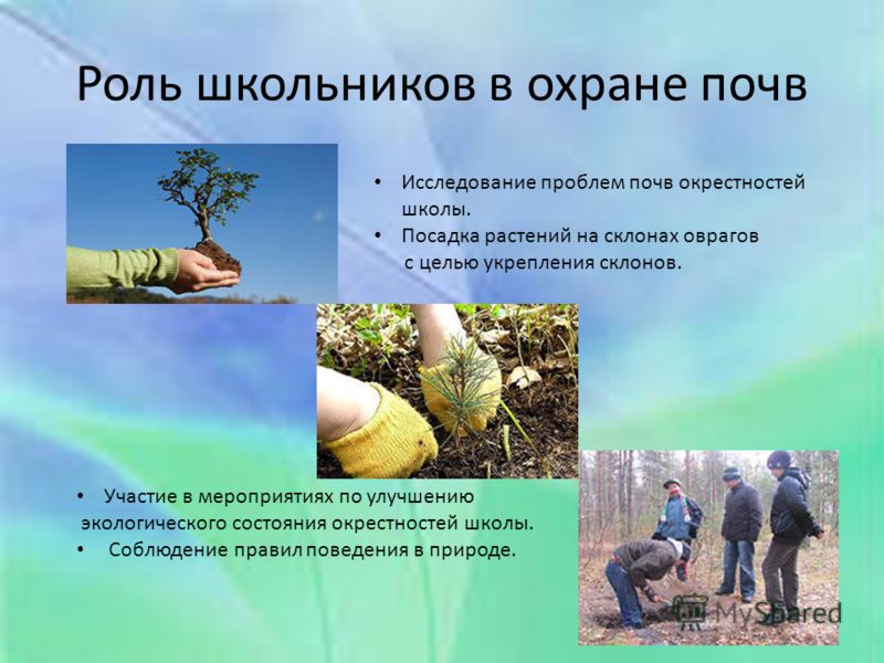 Плакат все о почвах Плакат все о почвах