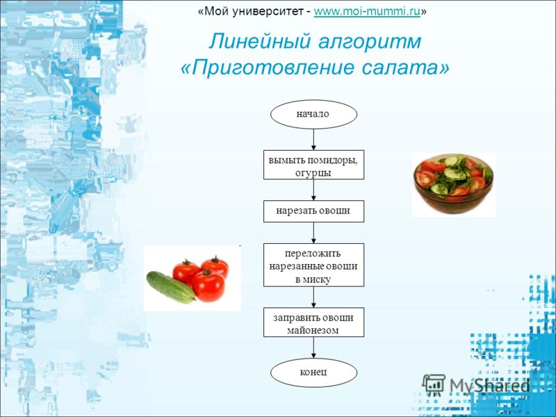 Линейный алгоритм «Приготовление салата» начало вымыть помидоры, огурцы нарезать овощи переложить нарезанные овощи в миску заправить овощи майонезом конец «Мой университет - www.moi-mummi.ru»www.moi-mummi.ru