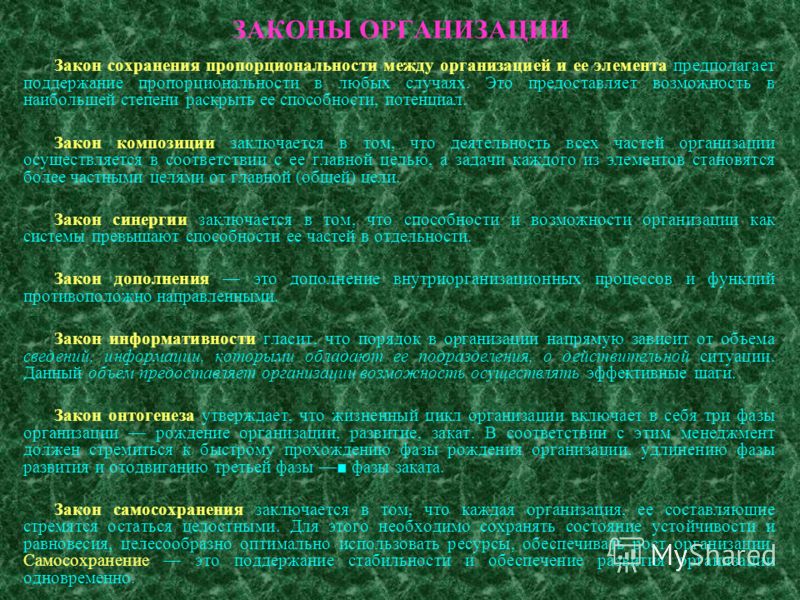 Элементы управленческого отношения Элементы управленческого отношения